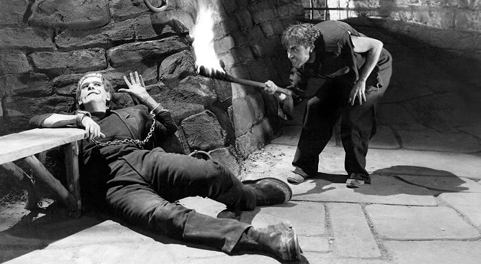 Frankenstein (1931) NZ Horror Movies
