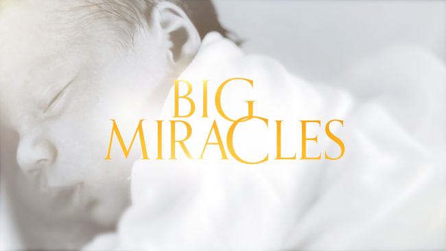 Watch Big Miracles in New Zealand on 9Now