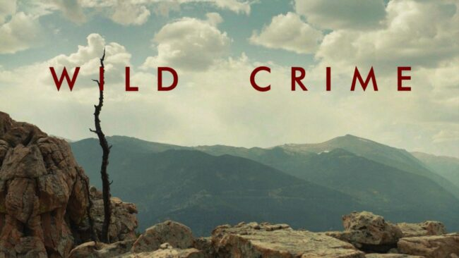 Watch Wild Crime Season 2 in New Zealand on Disney Plus